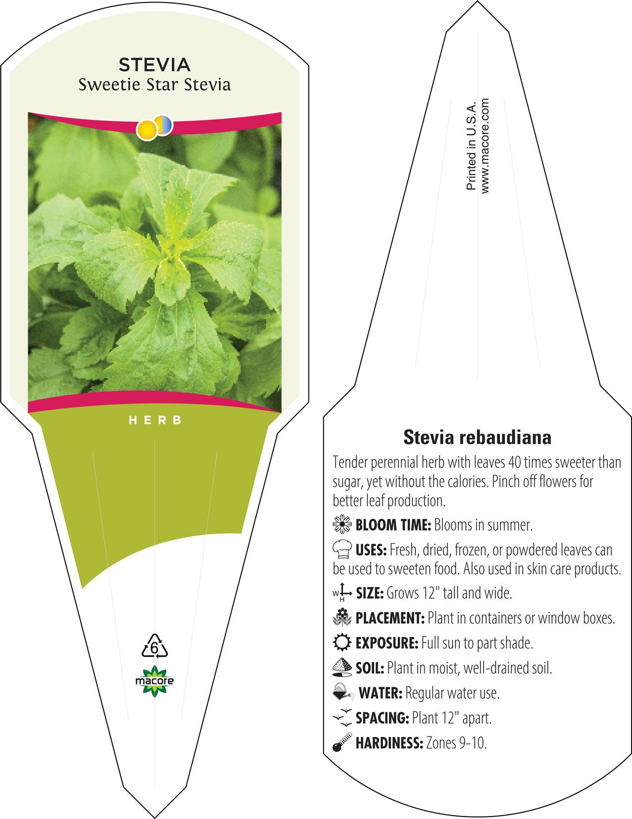 Stevia Seeds - Sweetie Star