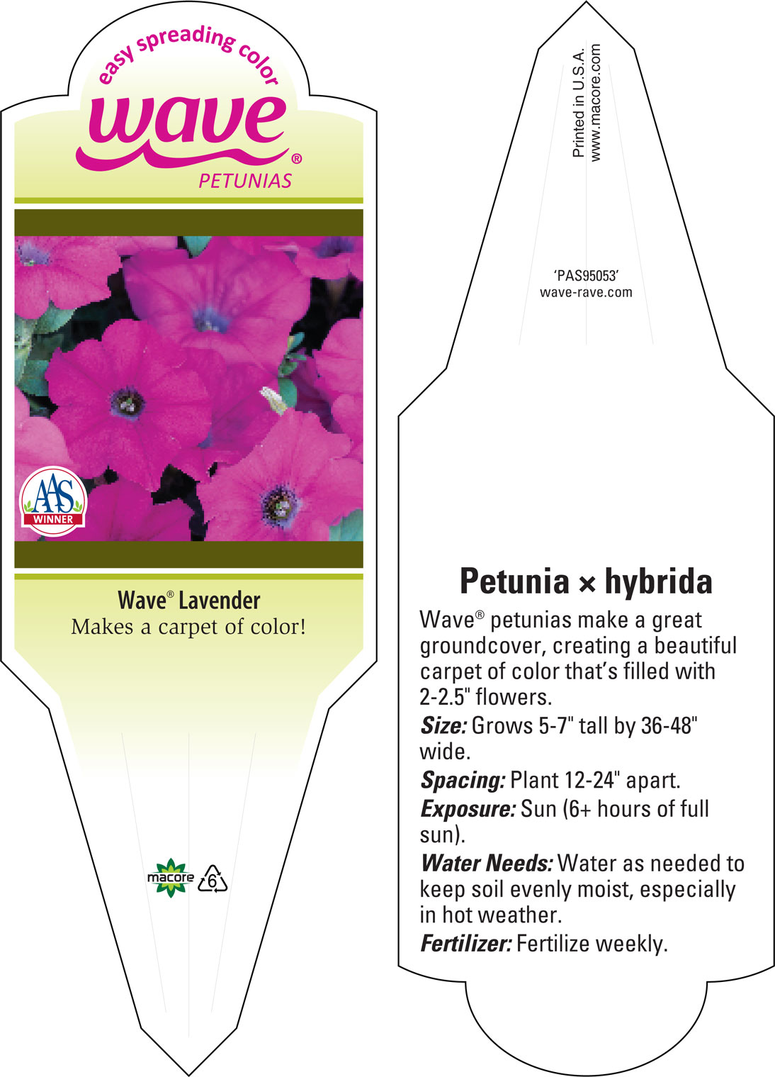 PETUNIA hybrida WAVE MISTY LILAC