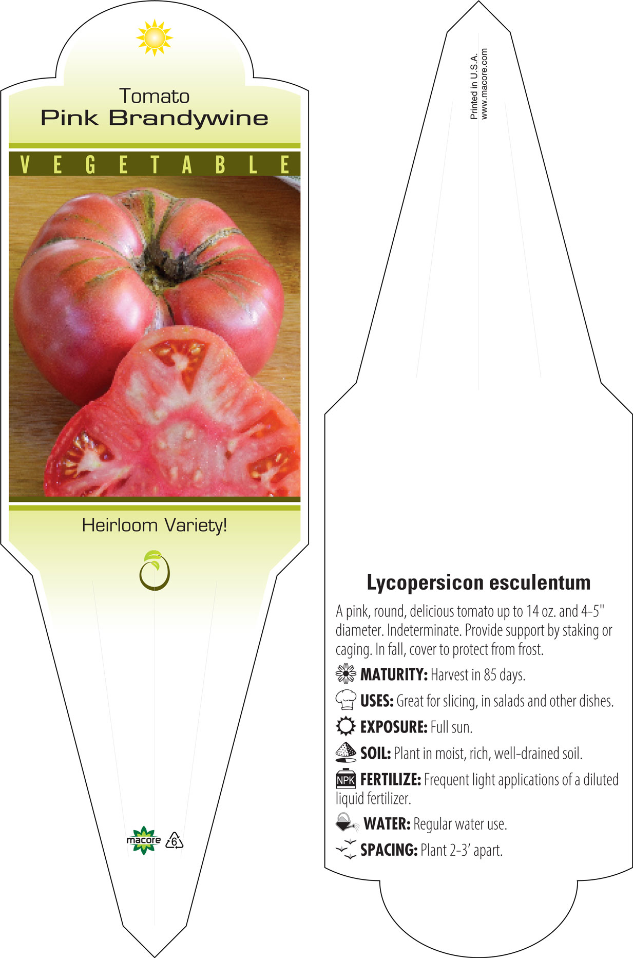 Heirloom Tomato 'Brandywine Pink' (Lycopersicon esculentum