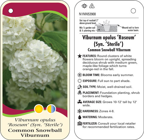 Macore Stakes Tags Labels For The Horticulture Industry Categories