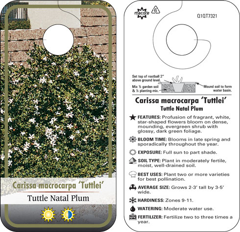 Macore Stakes Tags Labels For The Horticulture Industry Categories