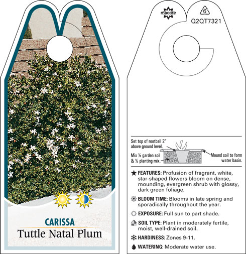 Macore Stakes Tags Labels For The Horticulture Industry Categories